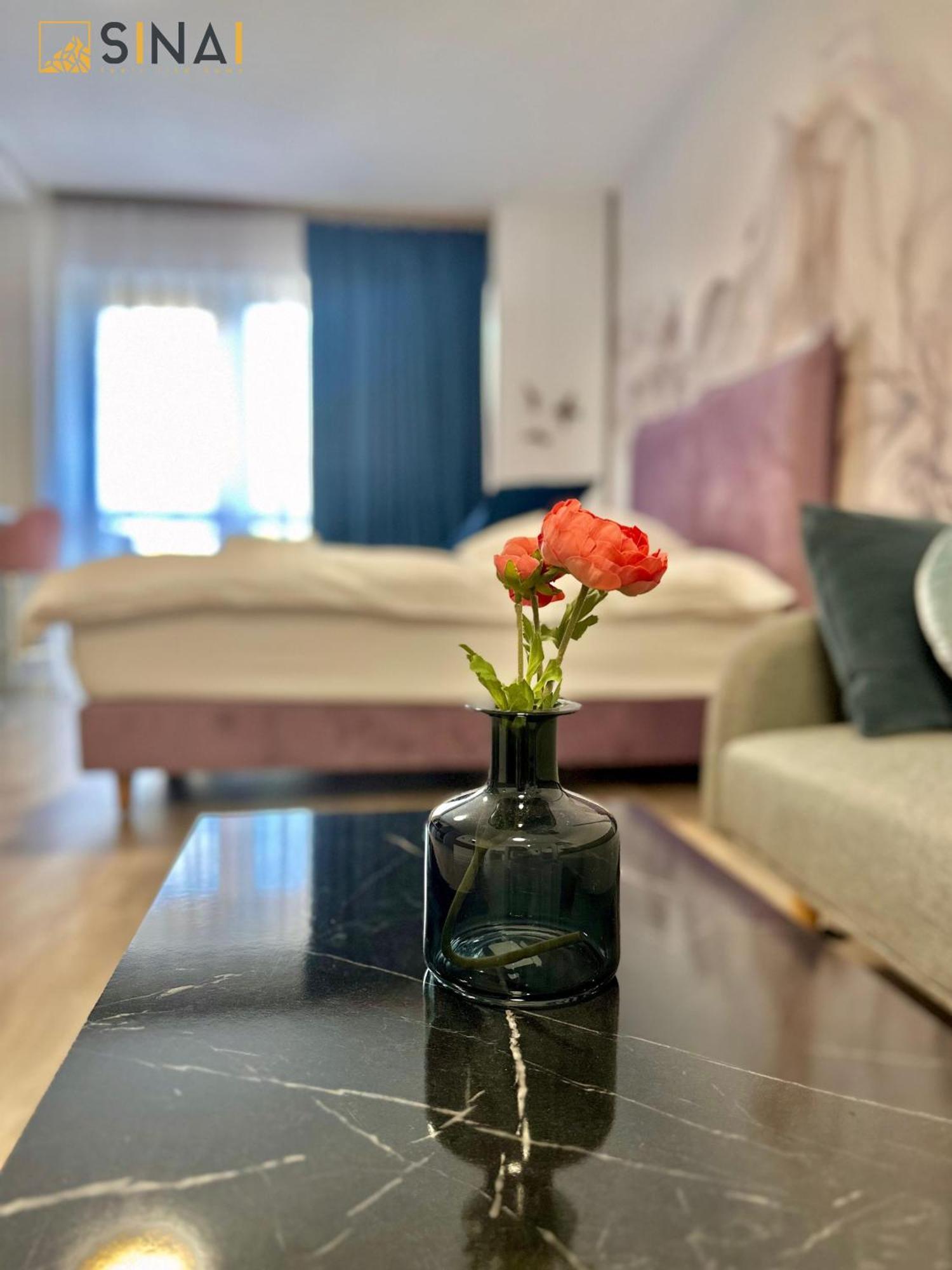 Sinai Aph Apartments シナヤ エクステリア 写真