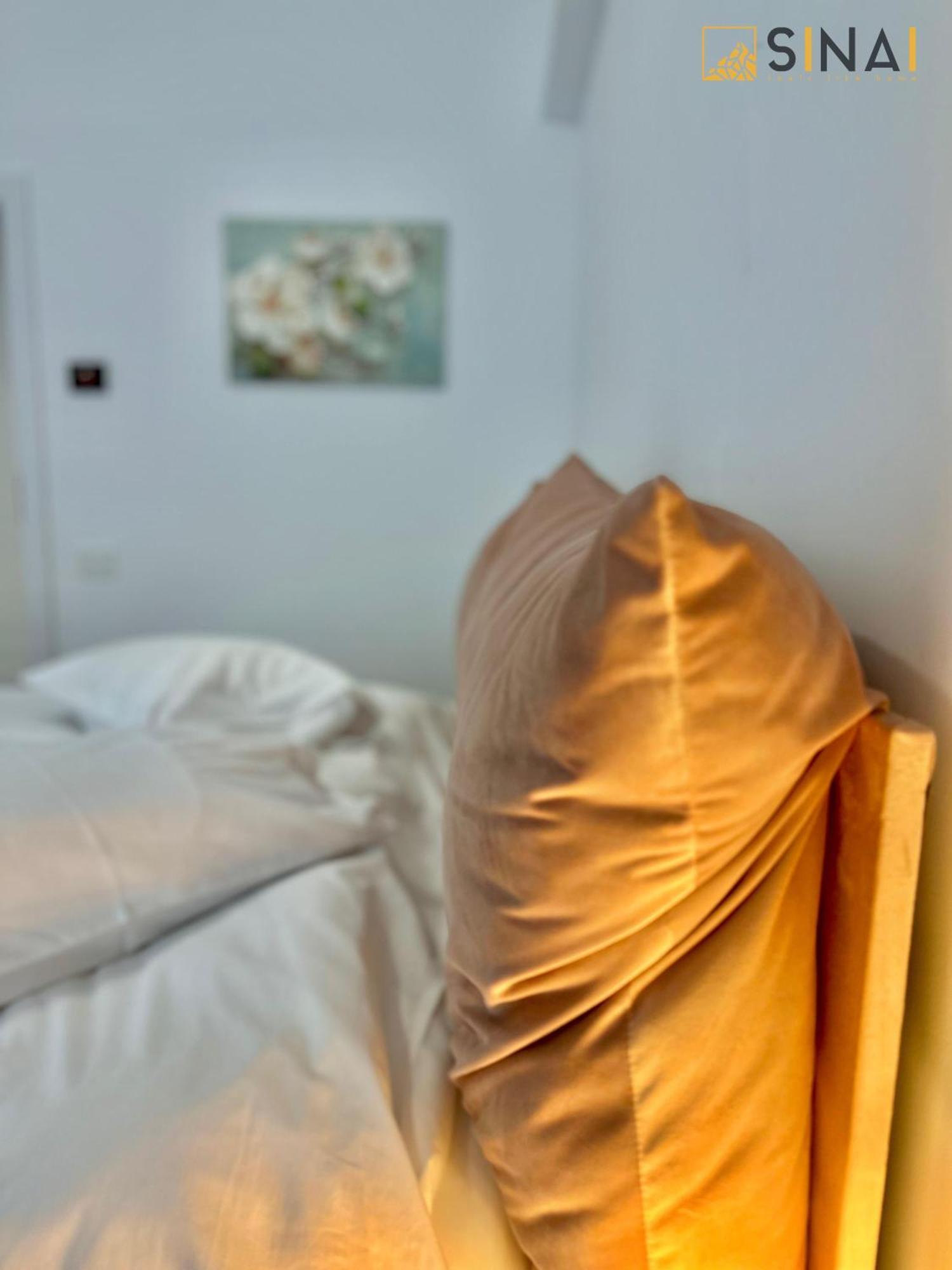 Sinai Aph Apartments シナヤ エクステリア 写真